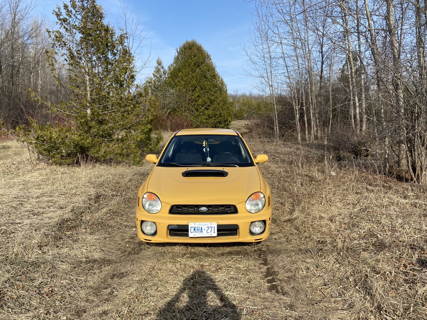 Sonic Yellow Subaru WRX facing the camera in a field