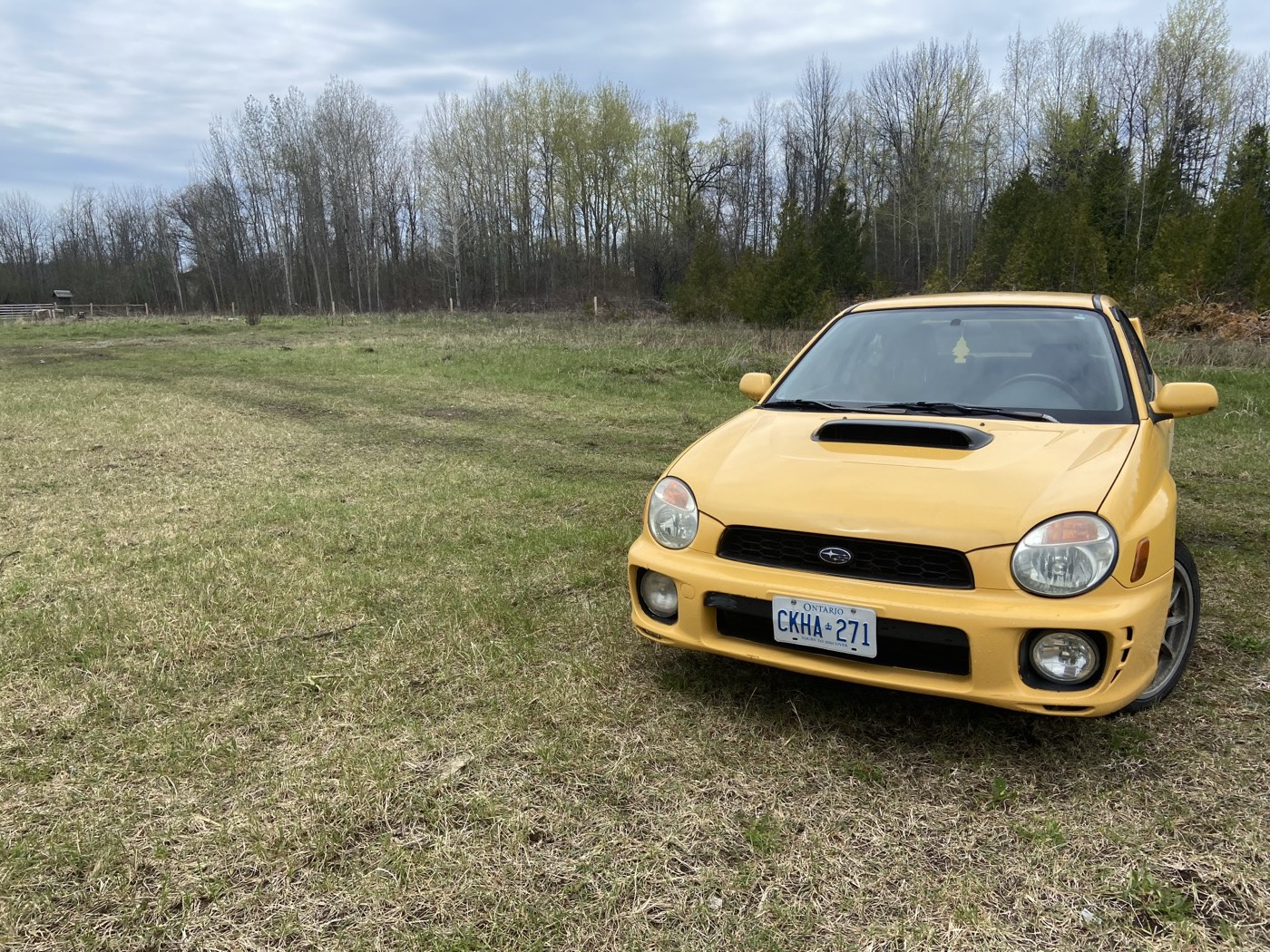 Sonic Yellow WRX sedan parked in a dry field